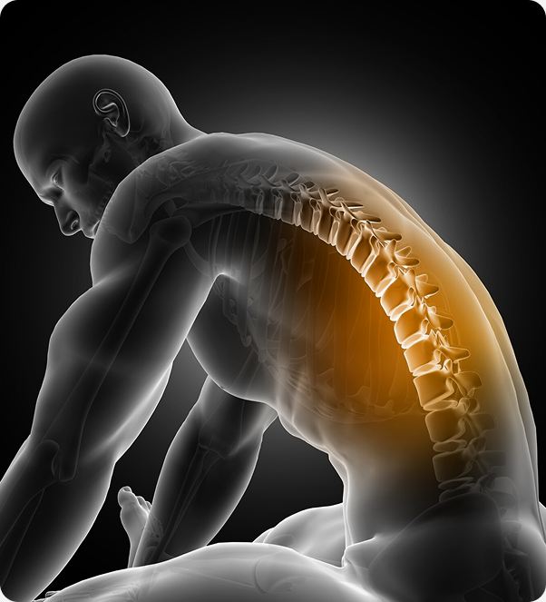Illustration of a man’s spine with the lower back highlighted